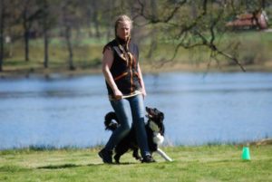 Suzy Tvärnstedt med Vallhunden Jo, Tyresö BK, har tackat nej på grund av skada.