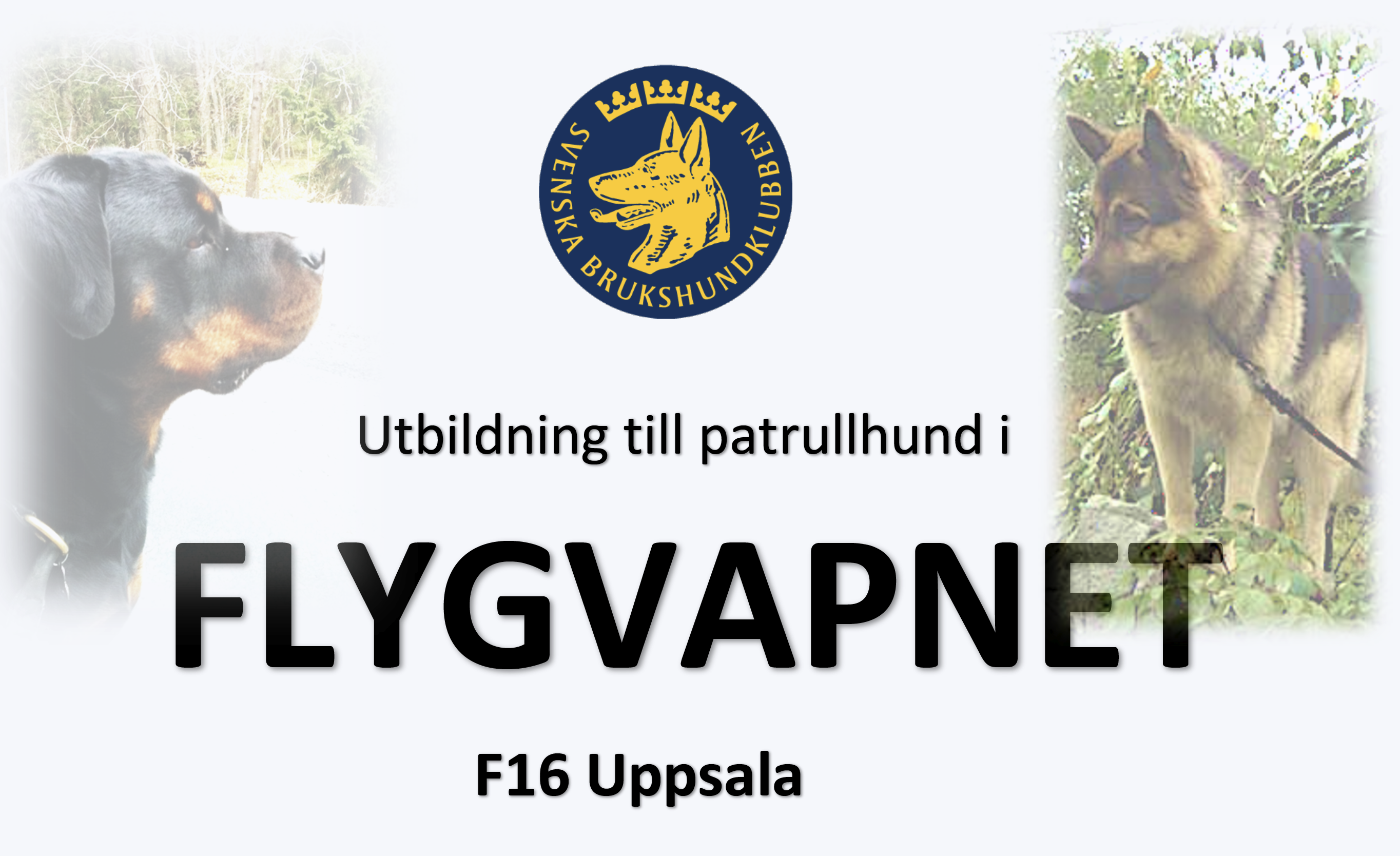 Skärmavbild 2022-02-05 kl. 14.48.50