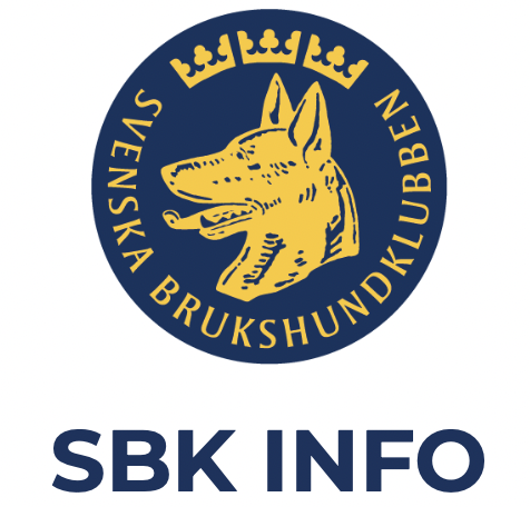 SBK Info